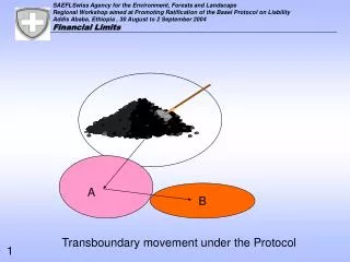 Transboundary movement under the Protocol