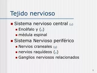 tejido nervioso