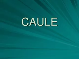 caule