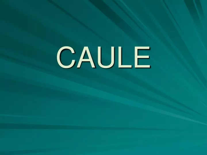 caule