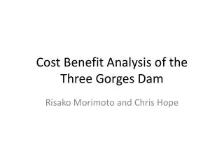 Cost Benefit Analysis of the Three Gorges Dam