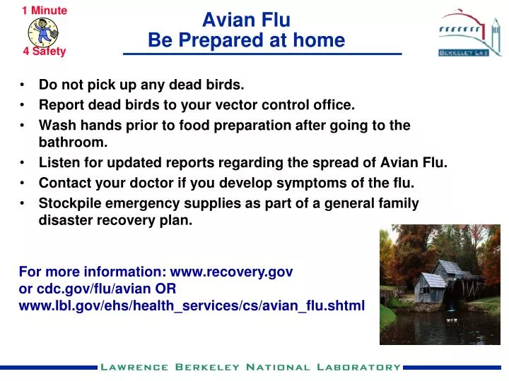 avian flu be prepared at home