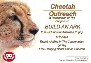 Annie Beckhelling Founder &amp; Director : Cheetah Outreach