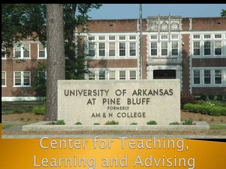 center for teaching learning and advising