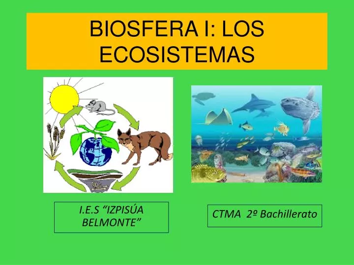 biosfera i los ecosistemas
