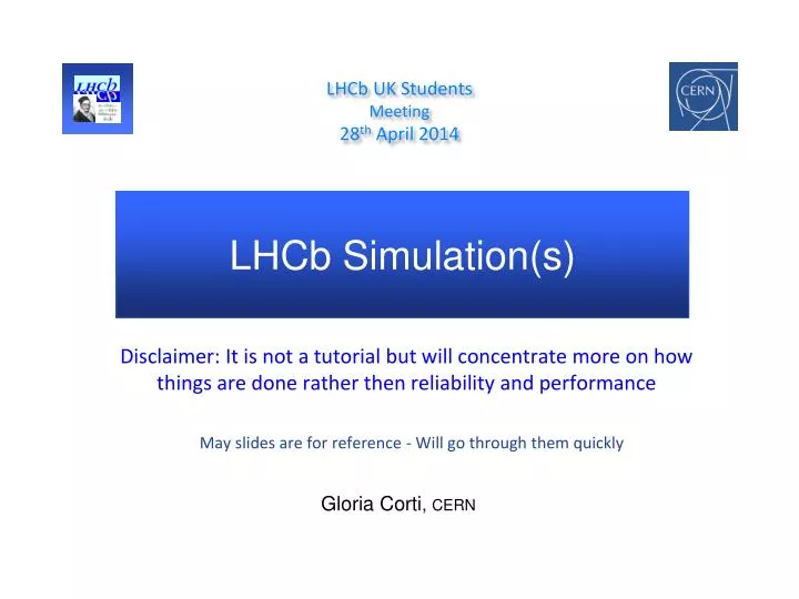 lhcb simulation s
