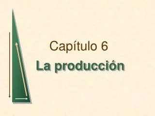 cap tulo 6