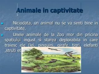 Animale in captivitate