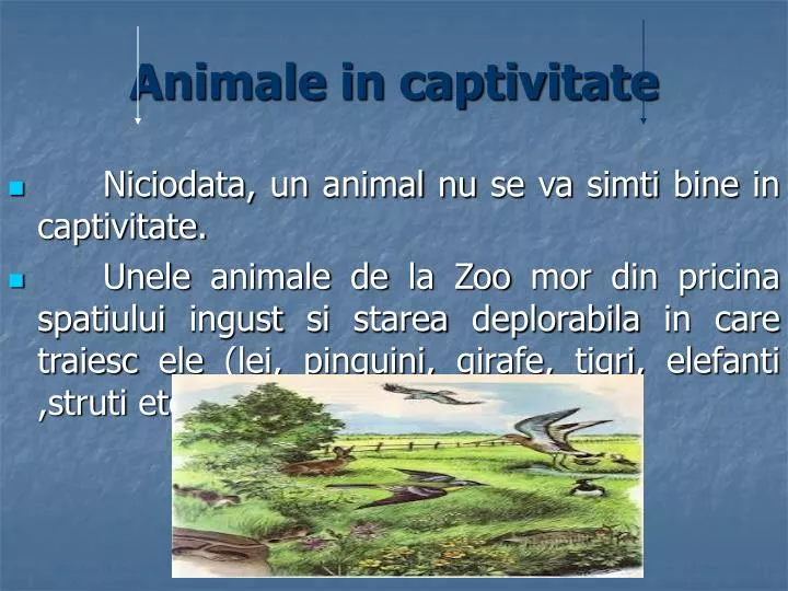 animale in captivitate