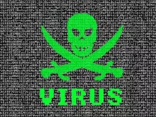 virus inform ticos