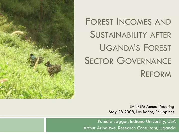 forest incomes and sustainability after uganda s forest sector governance reform