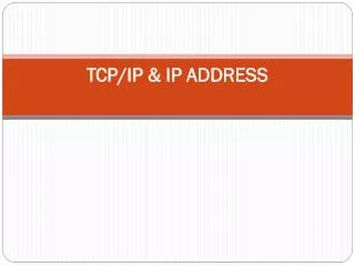 tcp ip ip address