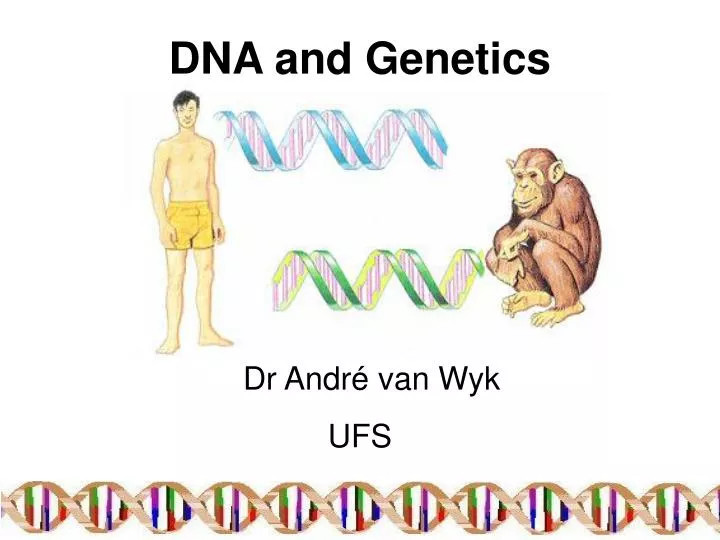 dna and genetics