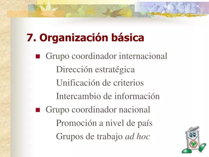 7 organizaci n b sica