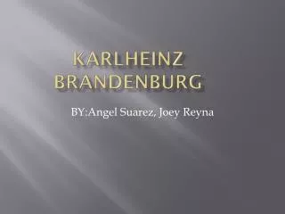 Karlheinz Brandenburg