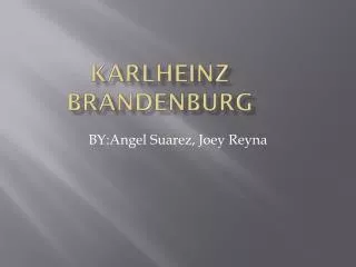 karlheinz brandenburg
