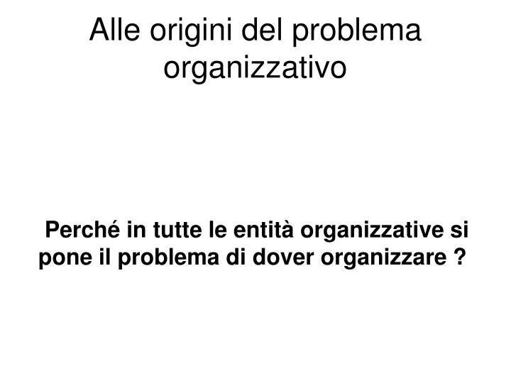 alle origini del problema organizzativo