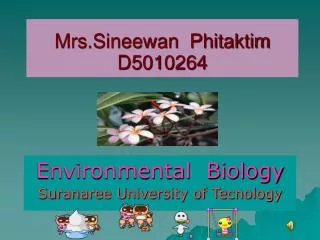 Mrs.Sineewan Phitaktim D5010264