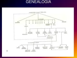 genealog a