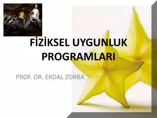 f z ksel uygunluk programlari