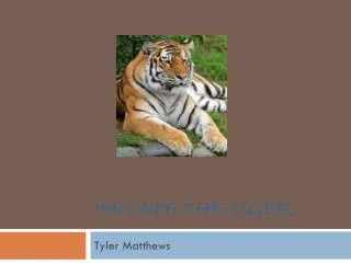 Imitate the Tiger