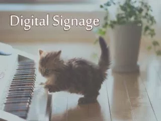 Digital Signage