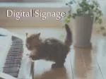 Digital Signage - slide 1