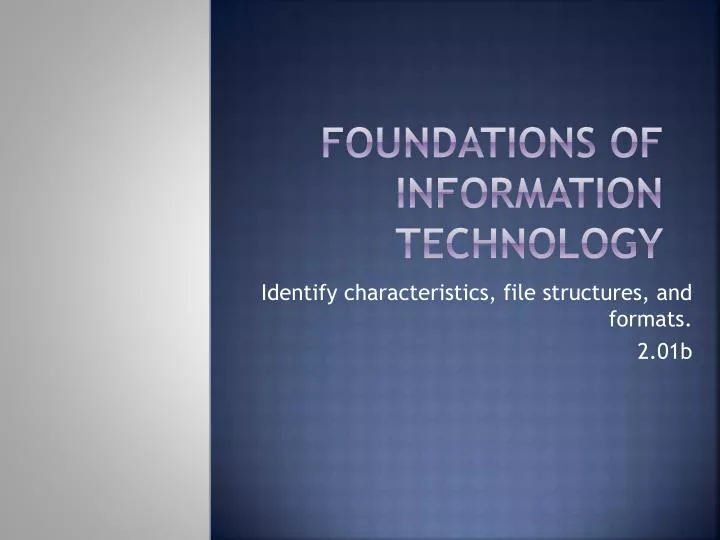 foundations of information technology