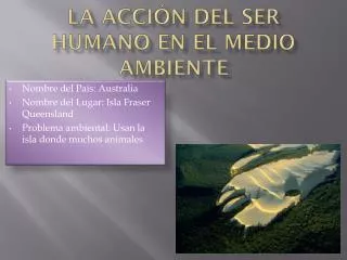 la acci n del ser humano en el medio ambiente