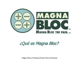 qu es magna bloc