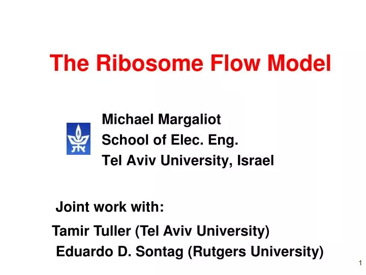 the ribosome flow model