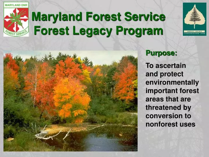 maryland forest service forest legacy program