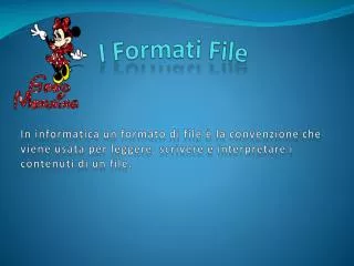i formati file