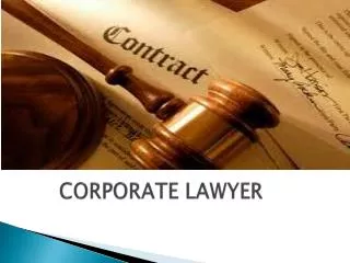 Corporate Lawyer