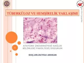 do dr duygu arikan