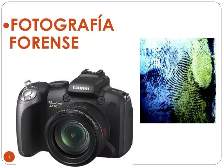 fotograf a forense