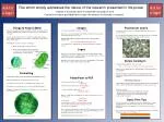 Effective Research Poster Design Tips and Guidelines for Successful Presentations - slide 1