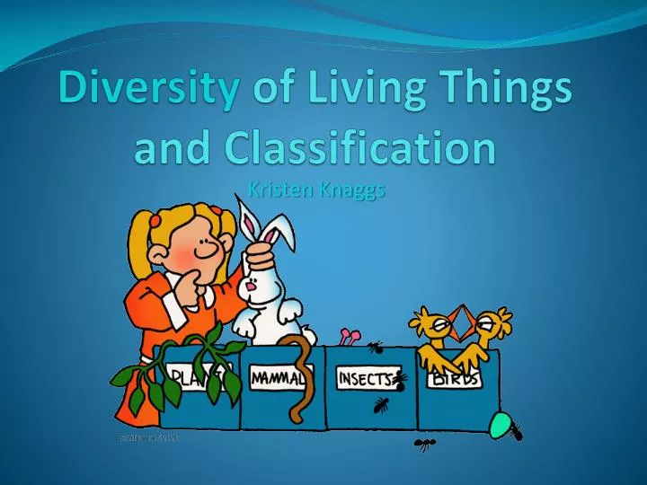 diversity of living things and classification