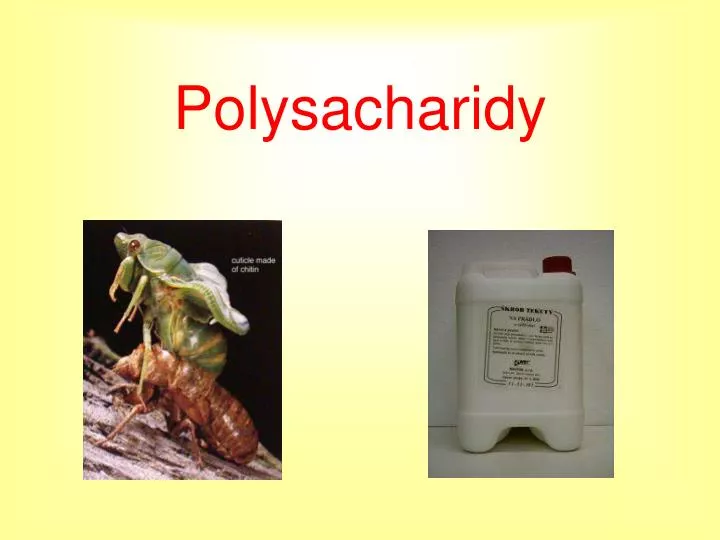 polysacharidy