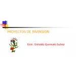 PROYECTOS DE INVERSION