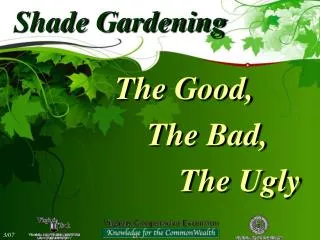 Shade Gardening