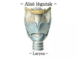 als l gutak