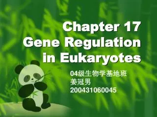 Chapter 17 Gene Regulation in Eukaryotes