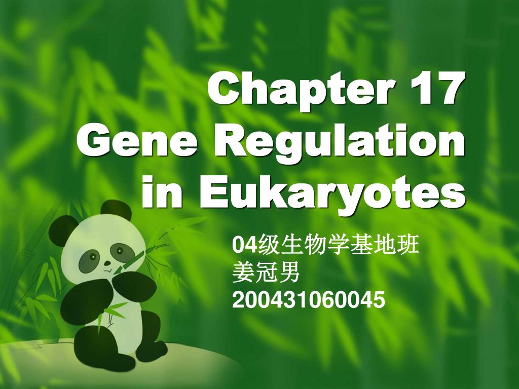 PPT - Chapter 17 Gene Regulation in Eukaryotes PowerPoint Presentation ...