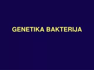 genetika bakterija