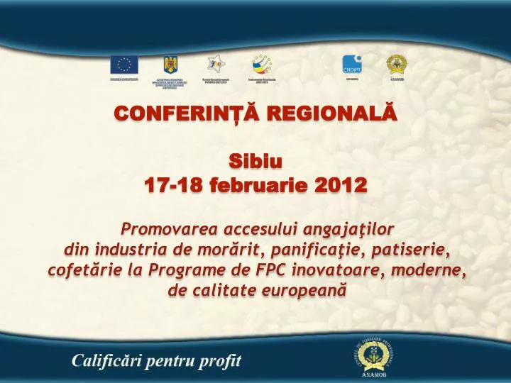 conferin regional sibiu 17 18 februarie 201 2