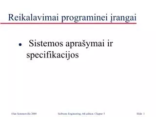 reikalavimai programinei rangai