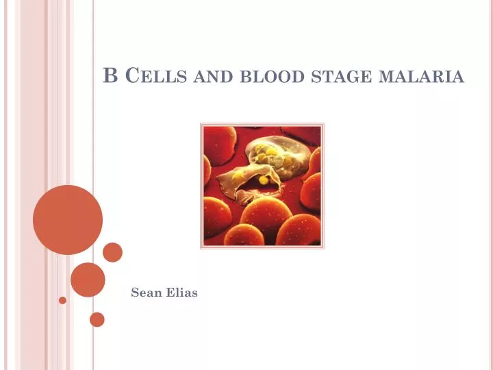 b cells and blood stage malaria