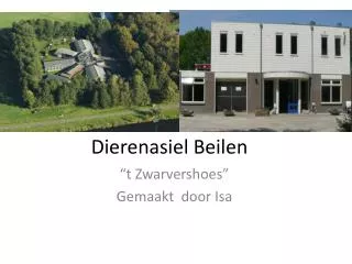 dierenasiel beilen