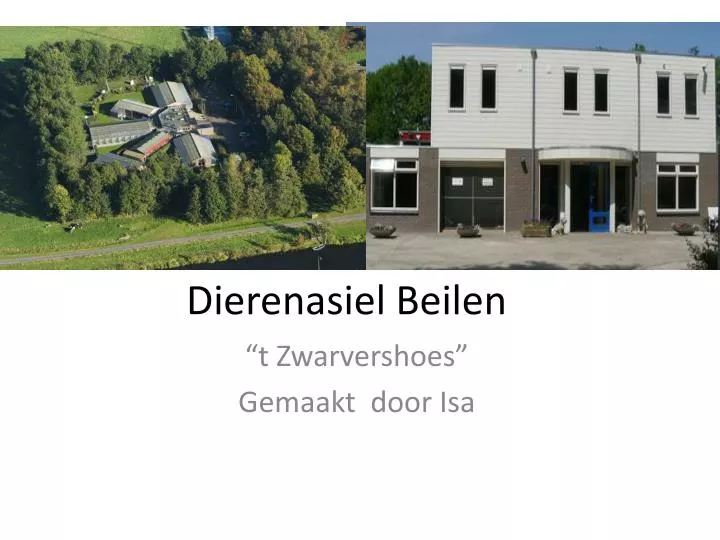 dierenasiel beilen